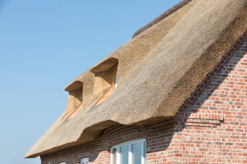 thatch roofing